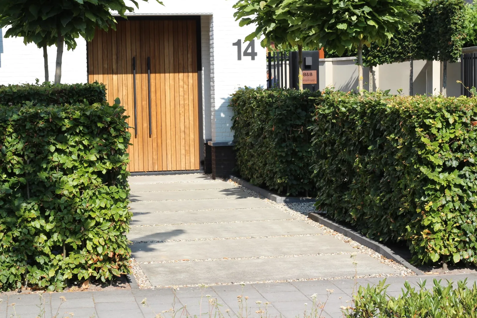Entree in grootformaat betontegels met siergrind tussen beukenhagen